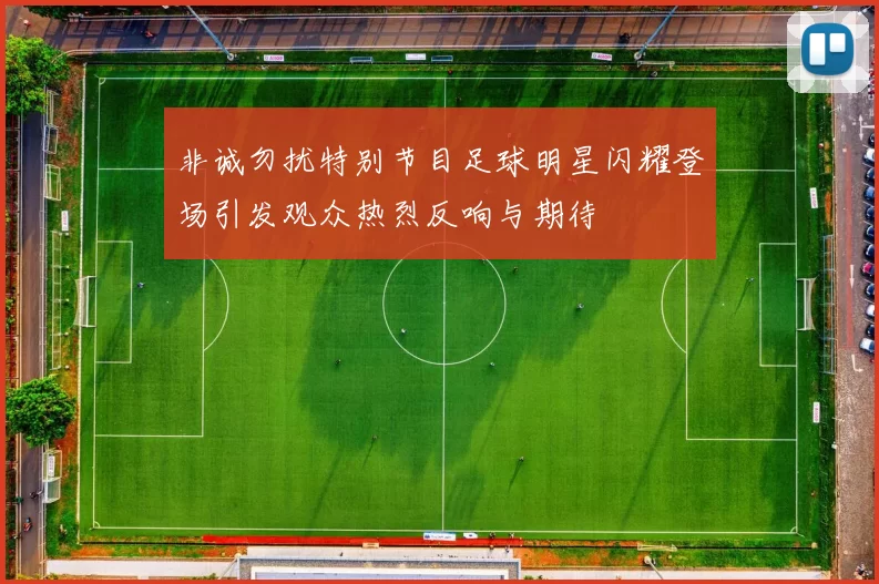 非诚勿扰特别节目足球明星闪耀登场引发观众热烈反响与期待