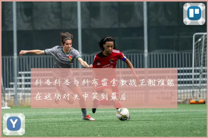 科洛科洛与科布雷索激战正酣谁能在这场对决中笑到最后