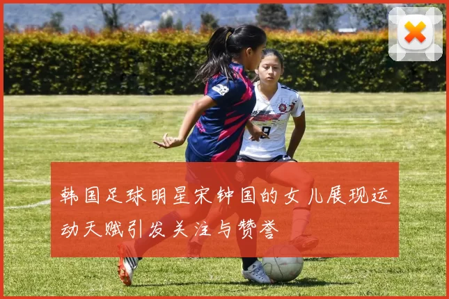 韩国足球明星宋钟国的女儿展现运动天赋引发关注与赞誉