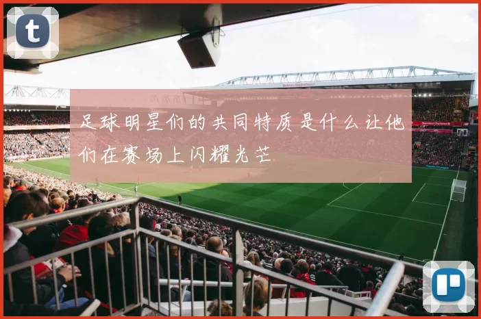 足球明星们的共同特质是什么让他们在赛场上闪耀光芒