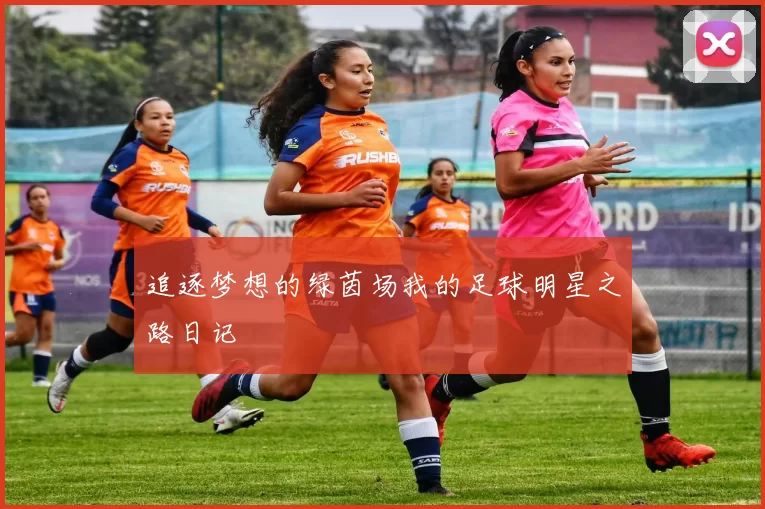 追逐梦想的绿茵场我的足球明星之路日记