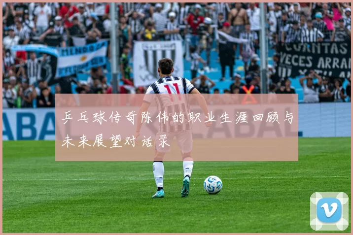 乒乓球传奇陈伟的职业生涯回顾与未来展望对话录