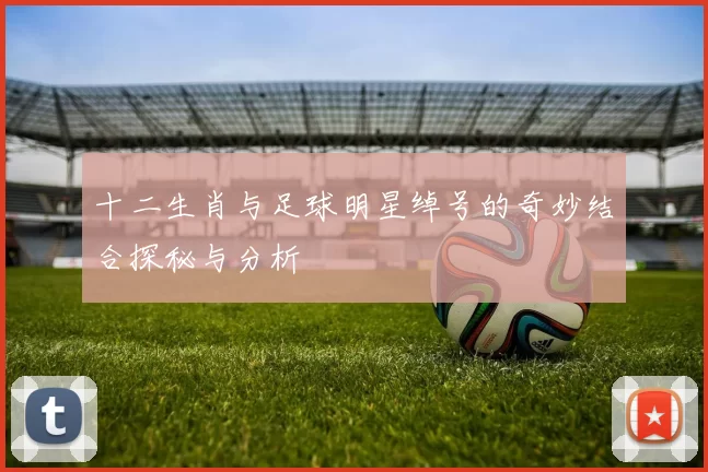 十二生肖与足球明星绰号的奇妙结合探秘与分析