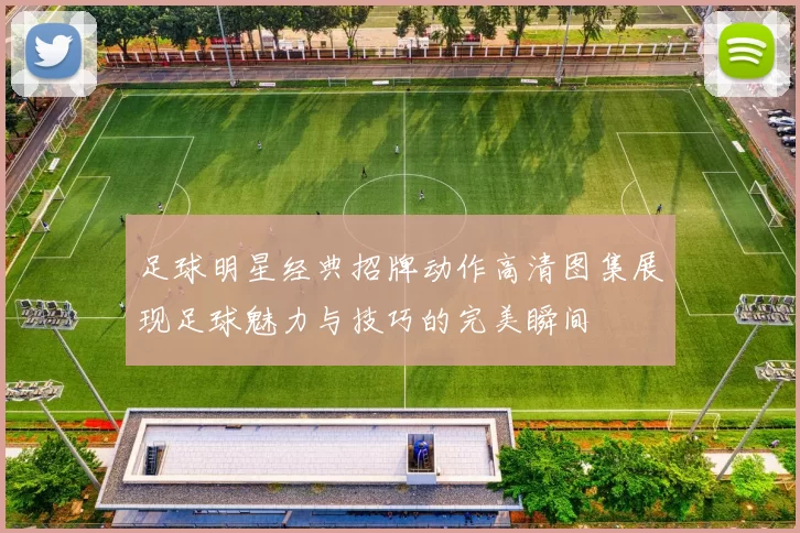 足球明星经典招牌动作高清图集展现足球魅力与技巧的完美瞬间