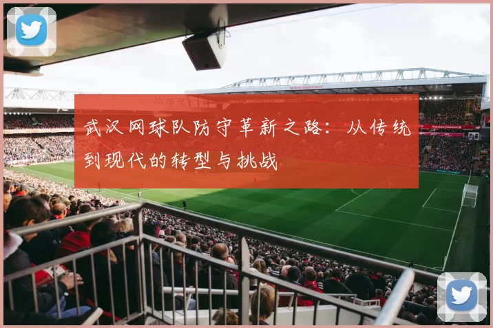 武汉网球队防守革新之路：从传统到现代的转型与挑战